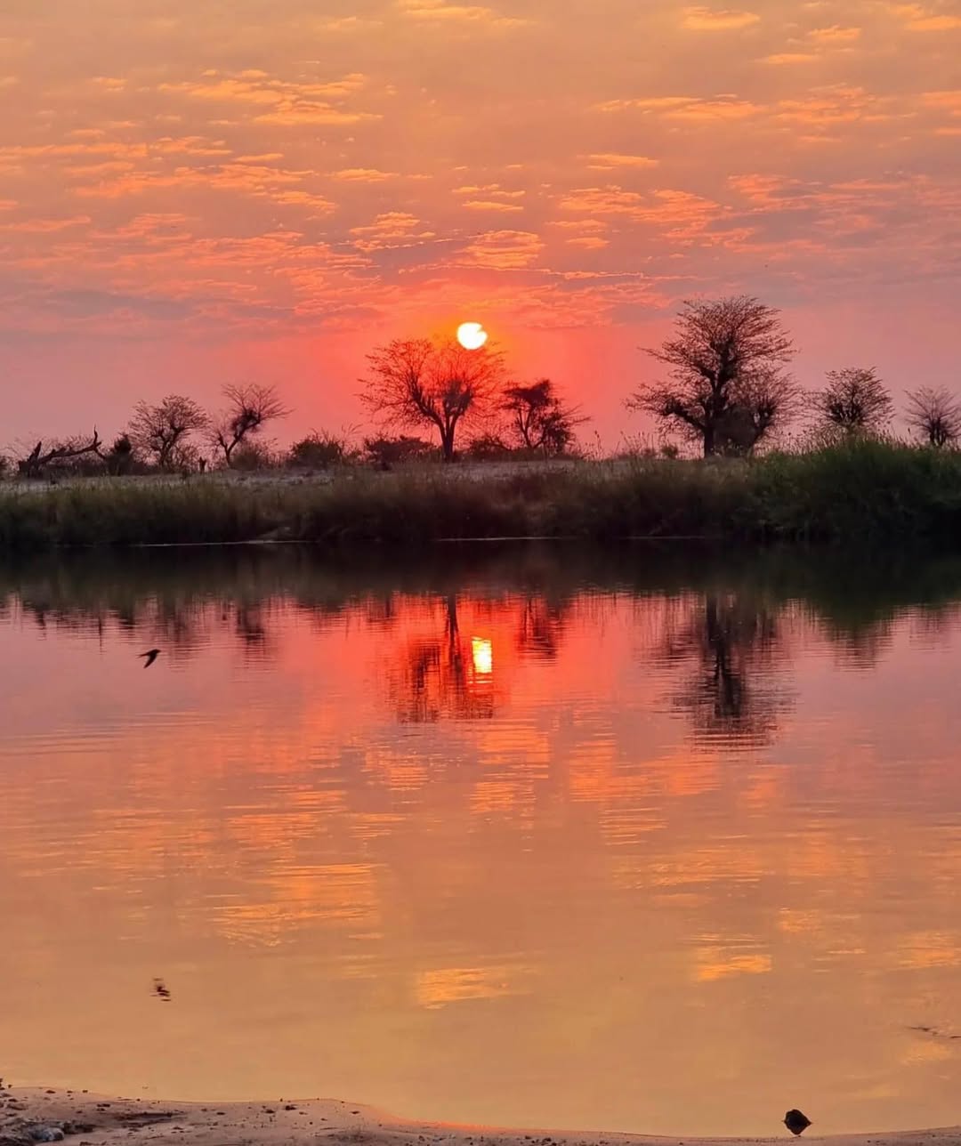 Instagram preview 15