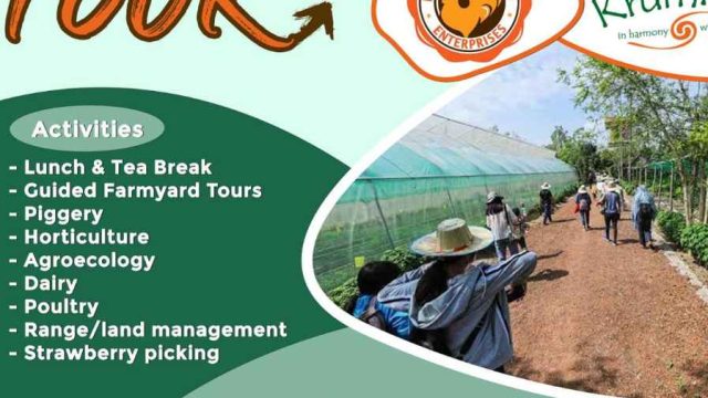 Informative Guided Farm Tour