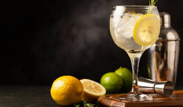 GIN FESTIVAL- Protea Hotel by Marriott Furstenhof